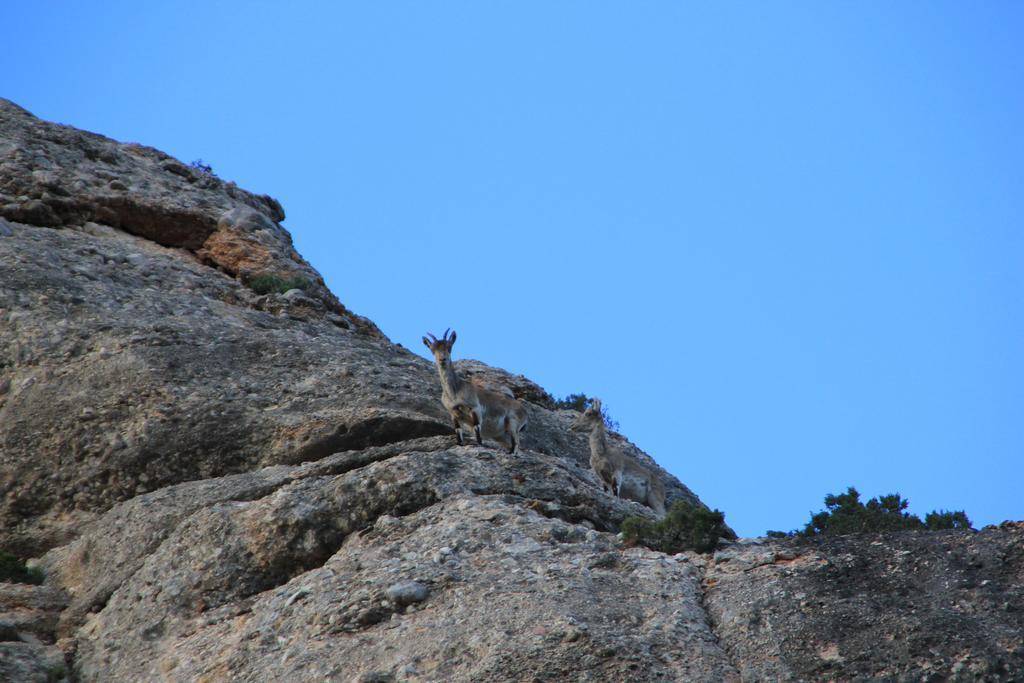 Vila Ca La Leonor, Ecoturisme Terra Alta Bot Pokoj fotografie
